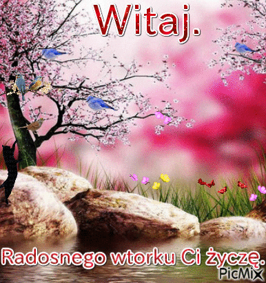 witaj - Animovaný GIF zadarmo