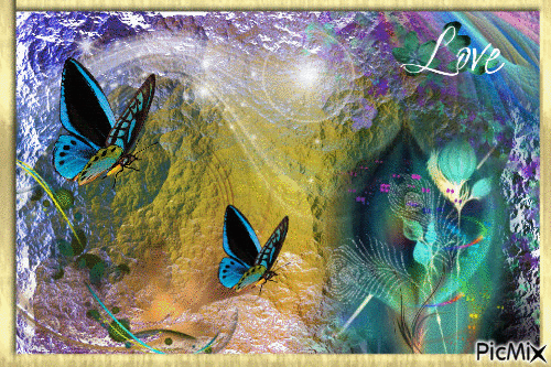 papillon - GIF เคลื่อนไหวฟรี