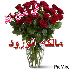 مالكه الورود - Animovaný GIF zadarmo