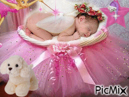 Princess in Pink - Animovaný GIF zadarmo