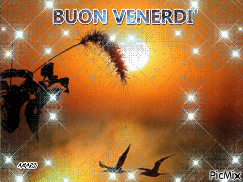 BUON VENERDI' - Free animated GIF