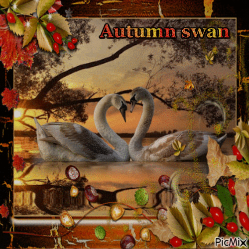 autumn swan - GIF animé gratuit