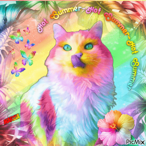marzia  -gattino colorato - GIF animado grátis