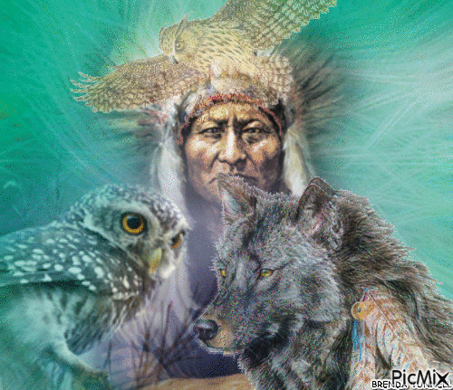 INDIAN OWL - Animovaný GIF zadarmo