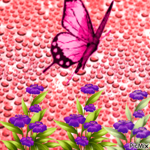 Le papilon joli - Besplatni animirani GIF