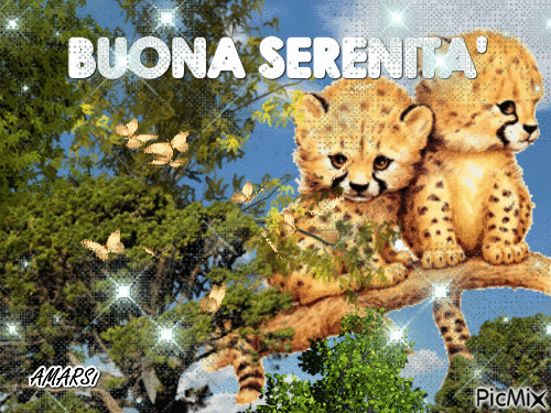 BUONA SERENITA' - Безплатен анимиран GIF