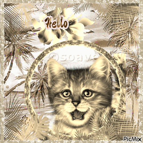 Bonjour les chatons - Darmowy animowany GIF