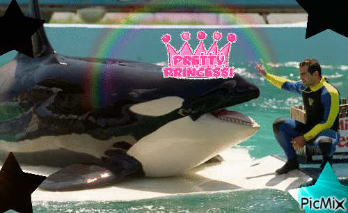 lolita orca - GIF animado grátis