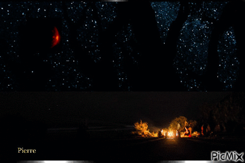 nuit étoilée et mystérieuse lune - Gratis geanimeerde GIF