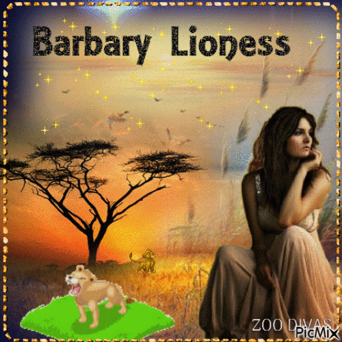 BARBARY LIONESS - GIF animasi gratis