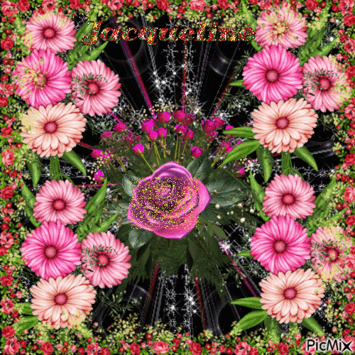 joles fleurs - Gratis animeret GIF