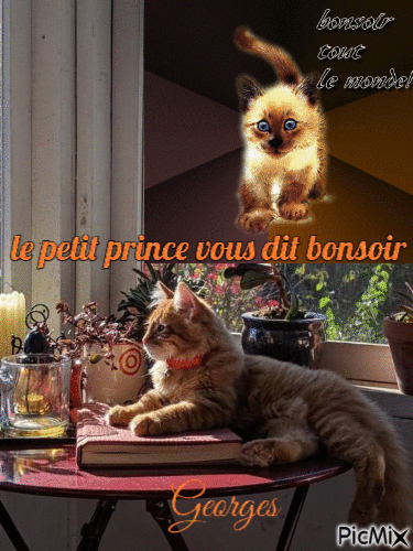 bonsoir du p tit prince - GIF animé gratuit