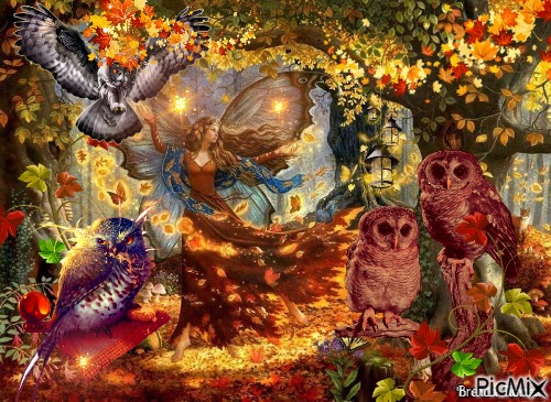 autumn owl - zdarma png