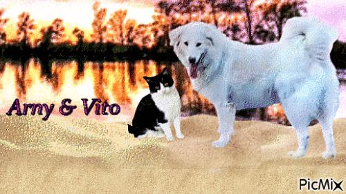 Arny & Vito - Darmowy animowany GIF