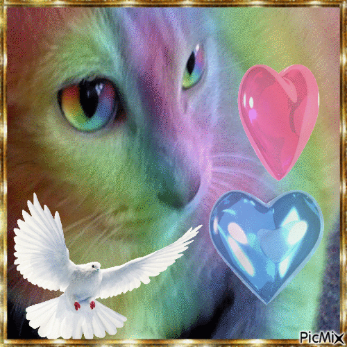 Pastel Hearts - 無料のアニメーション GIF