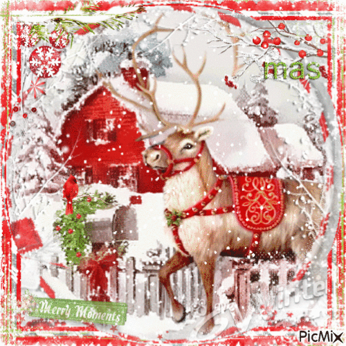 Christmas reindeer - Zdarma animovaný GIF