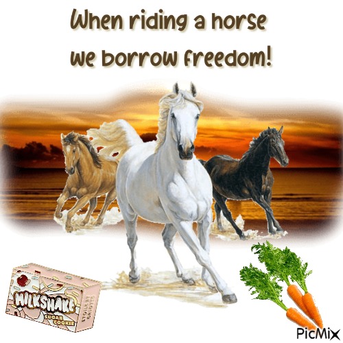 When Riding A Horse We Borrow Freedom! - gratis png