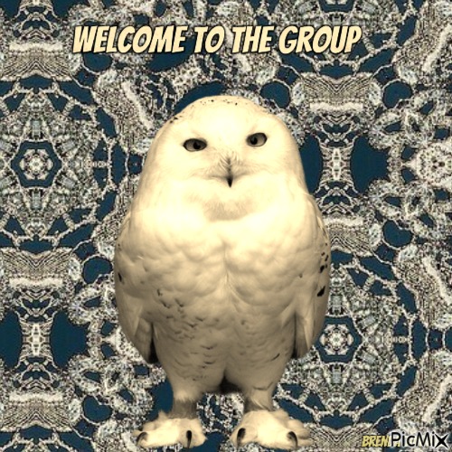 welcome owl - ilmainen png
