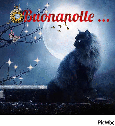 Buonanotte - Бесплатный анимированный гифка