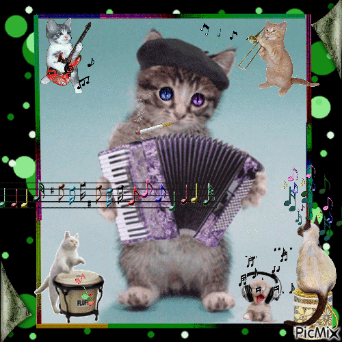 LES  CHATS  MUSICOTHÉRAPIE... - Free animated GIF