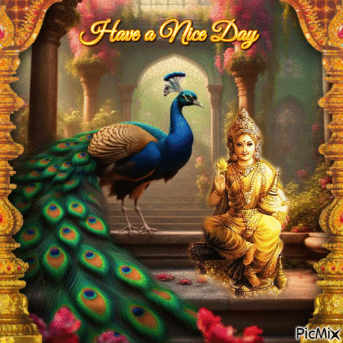 Have a Nice Day Peacock in the Indian Garden - GIF animé gratuit