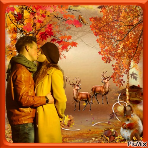 Couple romantique d'automne. - kostenlos png