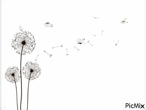 PAPILLONS - Free animated GIF