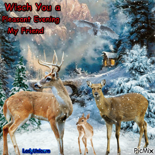 Wish You a Pleasant Evening My Friend - Бесплатный анимированный гифка