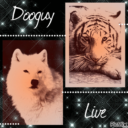 Dooguy-Live - Безплатен анимиран GIF