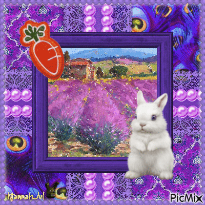 ((Cute Jittery Bunny in Purple)) - Zdarma animovaný GIF