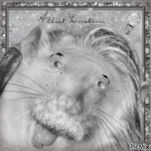 Albert Einstein rat - Gratis geanimeerde GIF