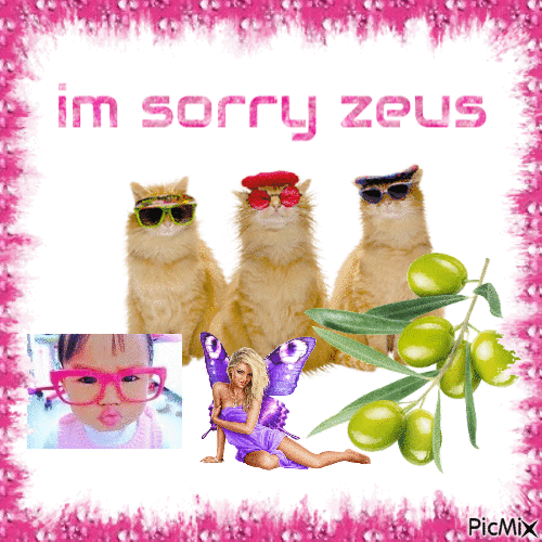 sorry zeus - 免费动画 GIF