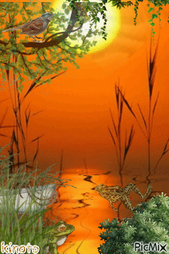 la laguna - 無料のアニメーション GIF