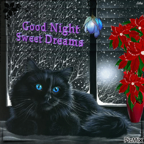 Good Night. Sweet Dreams - GIF animé gratuit
