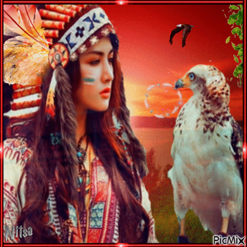 indiana woman and hawk . - GIF animé gratuit