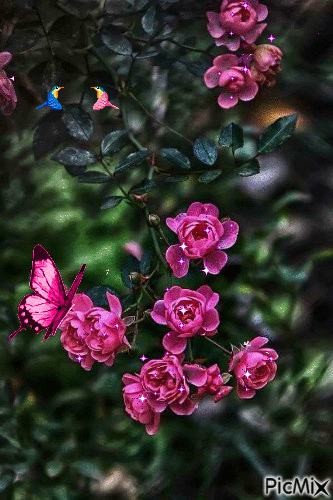 flores - Gratis animeret GIF