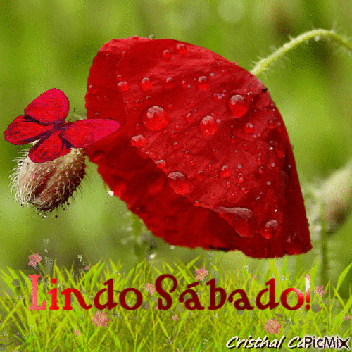 LINDO SÁBADO - Бесплатный анимированный гифка