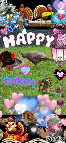 turkey - GIF animado gratis