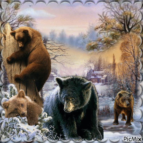 ours en hiver - Ilmainen animoitu GIF