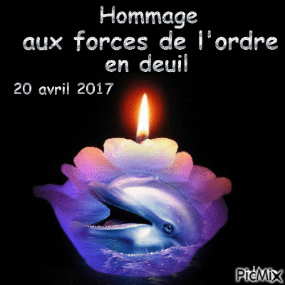 hommage - Free animated GIF