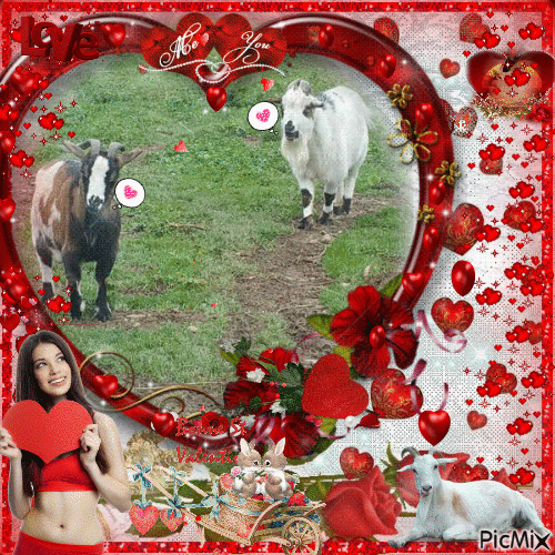 charlie le bouc et fleur la chèvres les amoureux de la st-Valentin - Gratis geanimeerde GIF