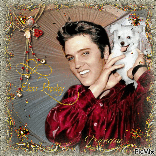 Elvis Presley mon idole 💖🎸💖 - Бесплатный анимированный гифка