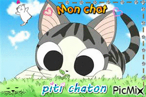 chaton - Gratis animerad GIF