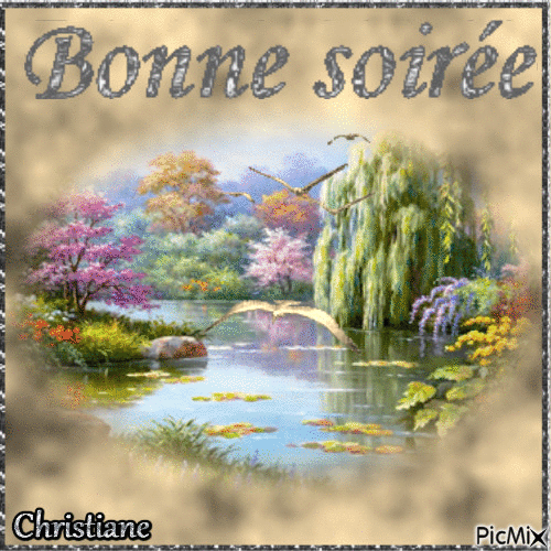 BONNE SOIREE 11 12 - Free animated GIF