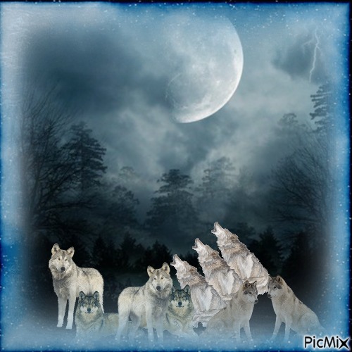 pack of wolves - PNG gratuit