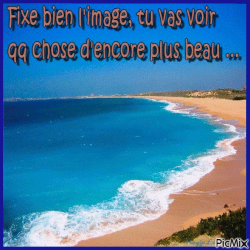 HUMOUR PLAGE - PicMix