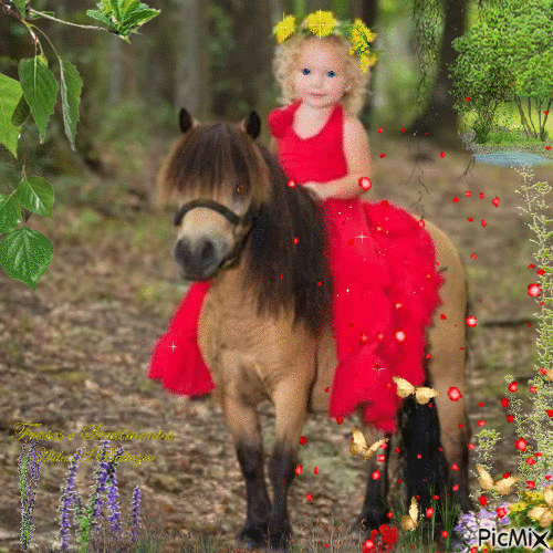 A menina e o ponei - Ingyenes animált GIF