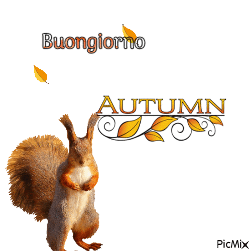 autunno - Безплатен анимиран GIF