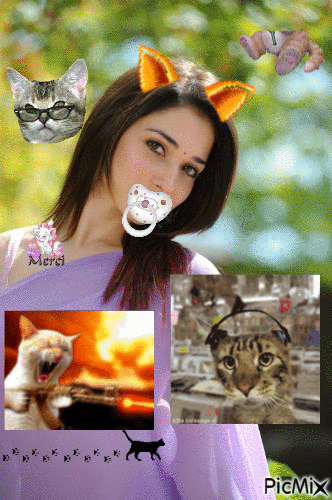 LES CHAT************ - Free animated GIF