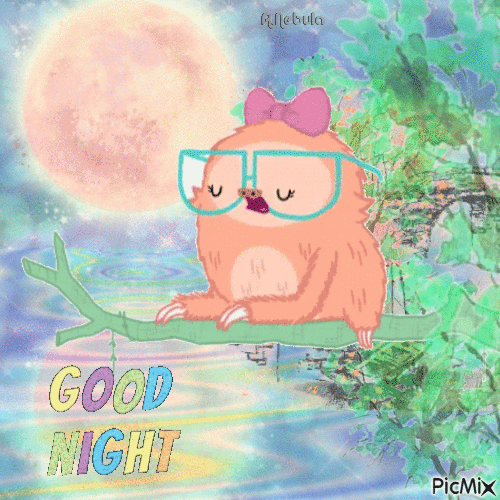Funny Good Night-contest - 免费动画 GIF